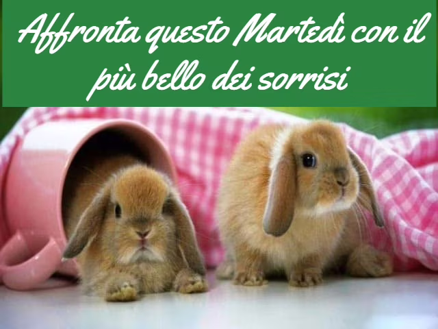 Buongiorno affettuoso 2
