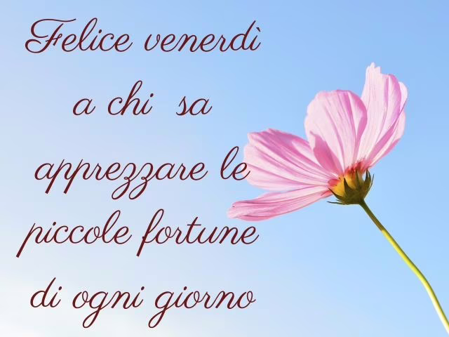 frasi del venerdì