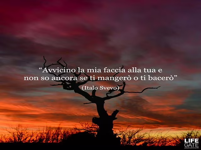 frasi sarcastiche sull amore