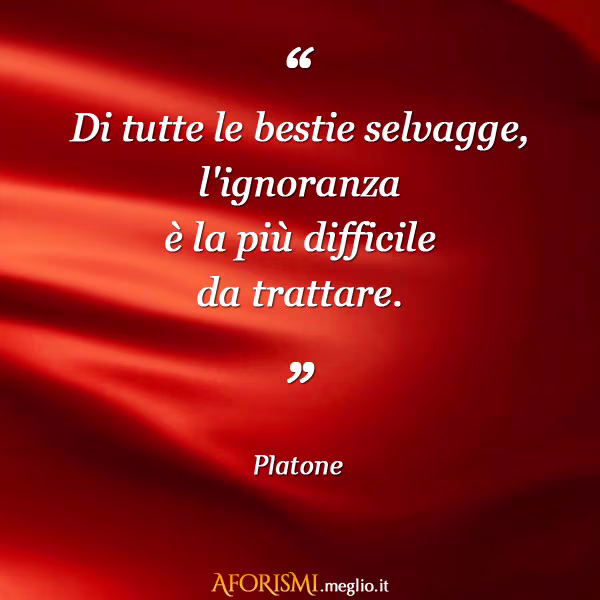 ignorante aforismi