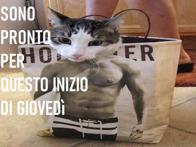 immagini romantiche del buongiorno