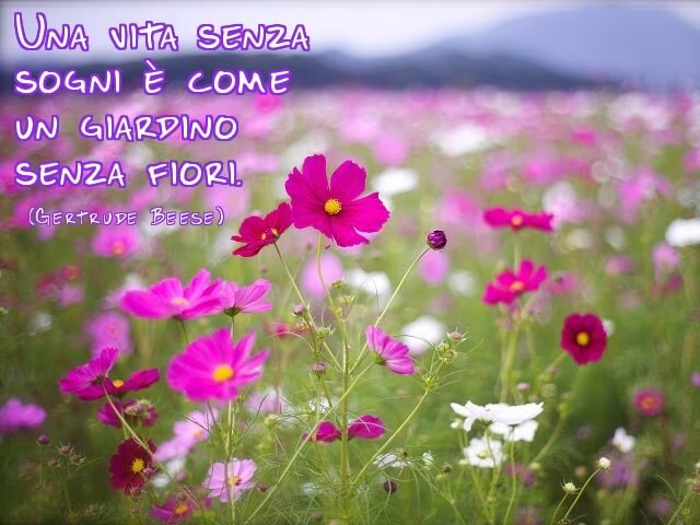 mai smettere di sognare