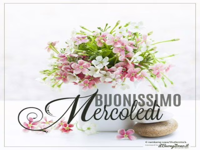mercoledì felice 