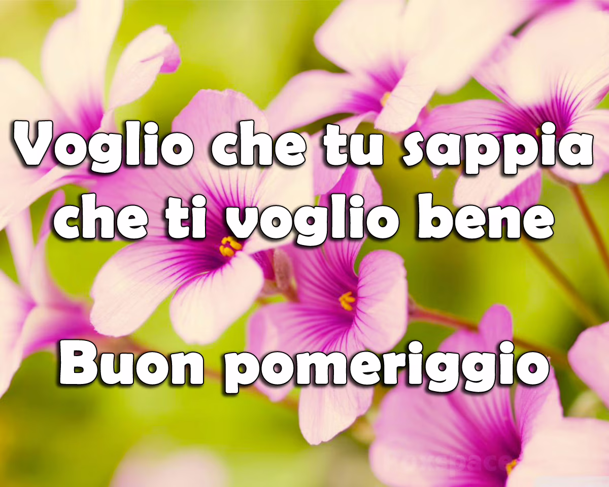 messaggi buon pomeriggio