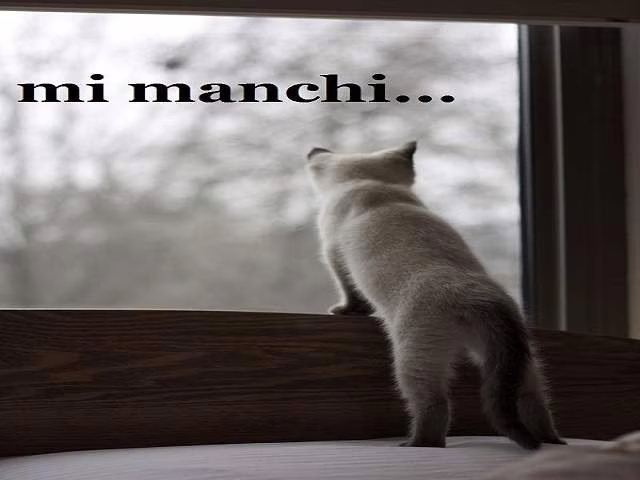 mi manchi come