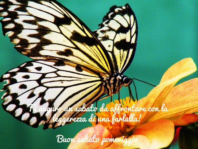 buon sabato pomeriggio immagini nuove