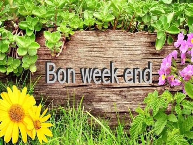 buon fine settimana in francese 2