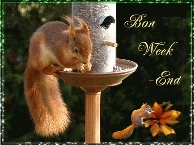 Felice fine settimana 1