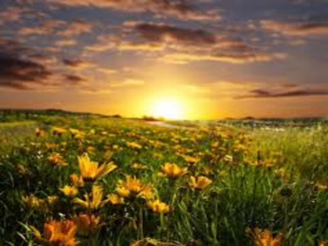frasi sul sorgere del sole