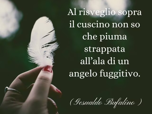 aforismi angeli