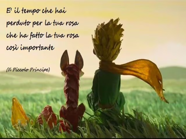 aforismi sulle rose