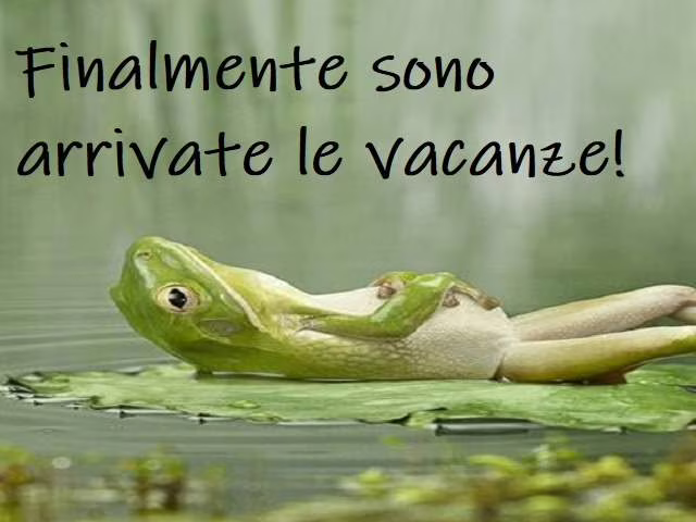 aforismi sulle vacanze al mare 2