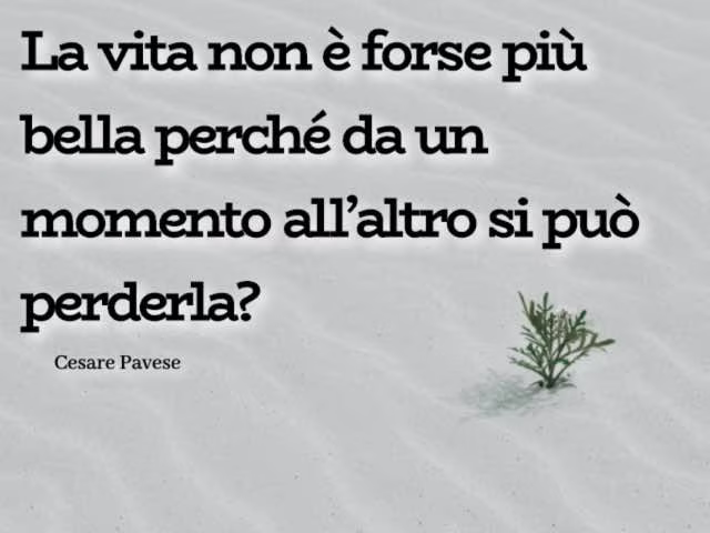 bellezza definizione