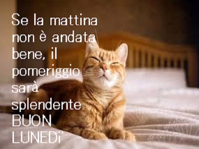 buon lunedì pomeriggio