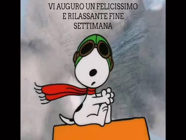 Buon weekend Snoopy 8