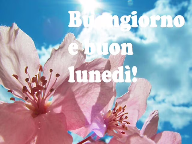 buongiorno e buon lunedì