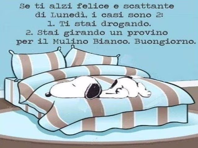 foto divertenti di buongiorno