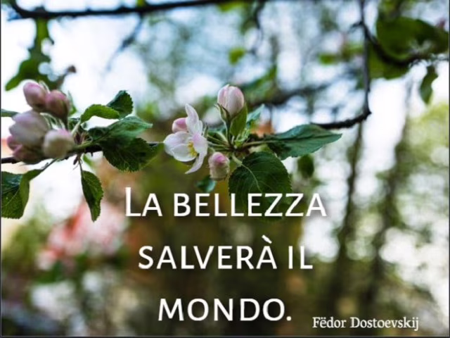 frasi belle