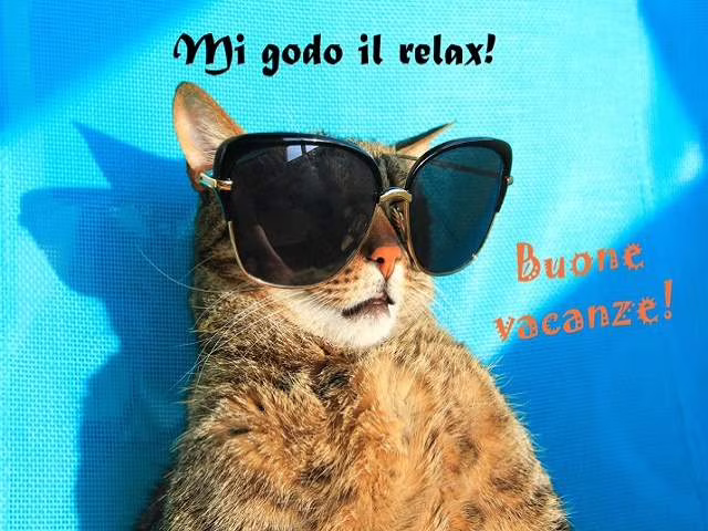 frasi belle sulle vacanze 
