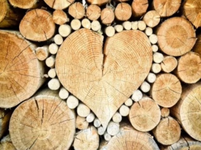 frasi celebri sul cuore