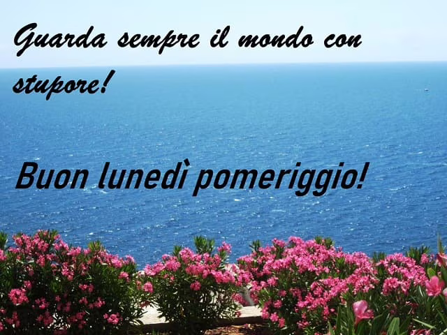 frasi di buon lunedì
