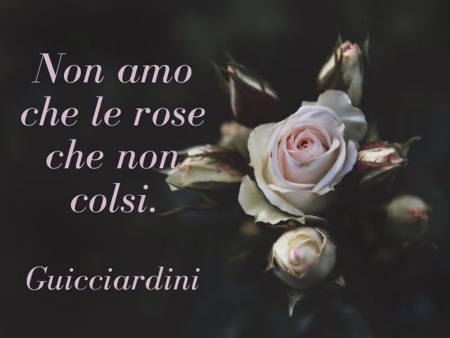 frasi di rose