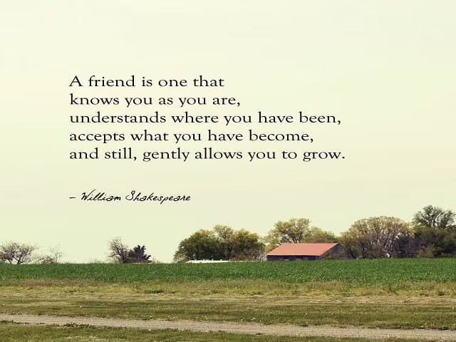 frasi dolci amicizia in inglese