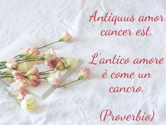 frasi in latino d amore