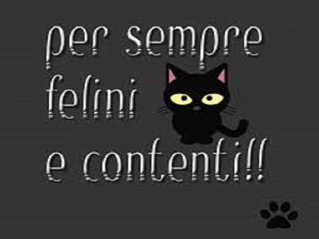 frasi più belle sugli animali