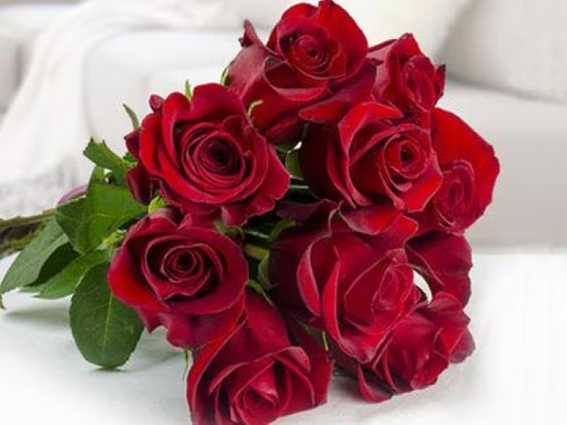 frasi rose