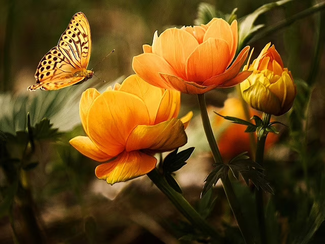 frasi sui fiori in inglese