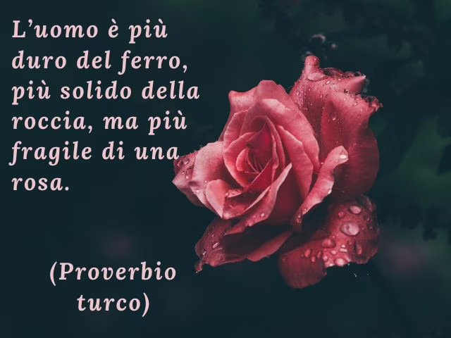 frasi sulle rose blu