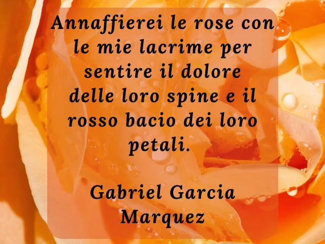 frasi sulle rose nere