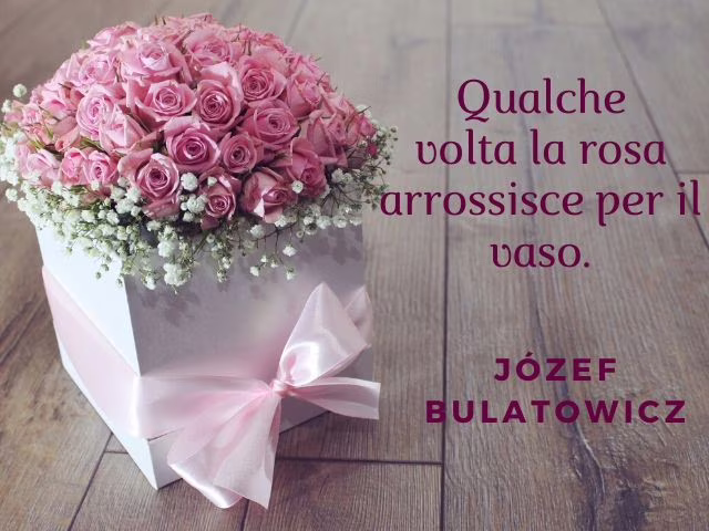 frasi sulle rose