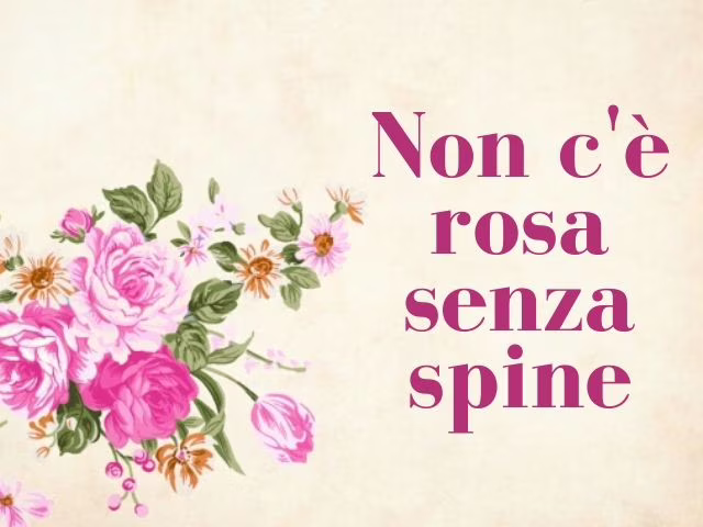il profumo delle rose