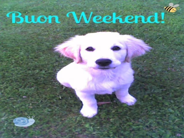 immagini buon weekend