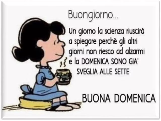 immagini con frasi divertenti