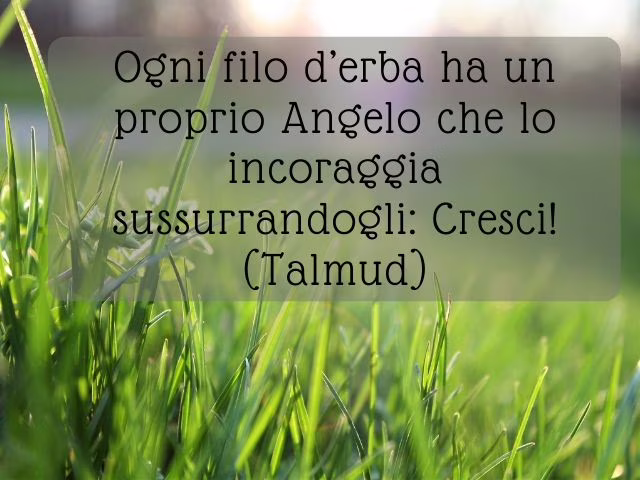 immagini di angeli