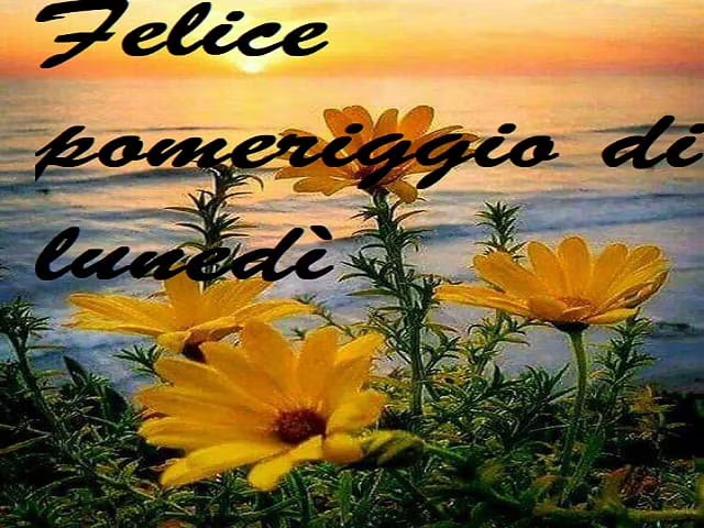 immagini del buon pomeriggio