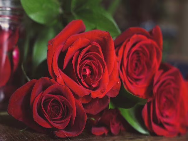 immagini di mazzi di rose