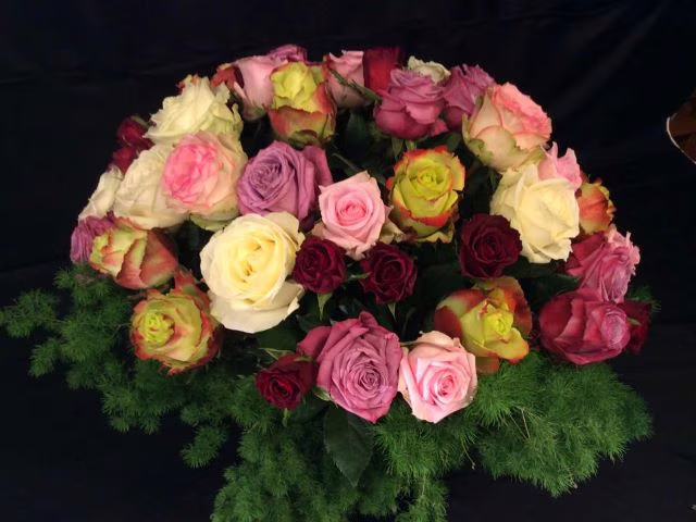 immagini di rose da colorare