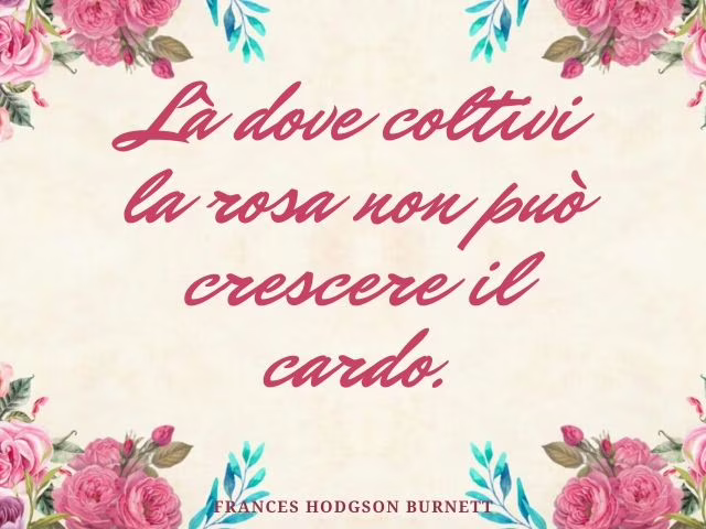 immagini di rose rosse
