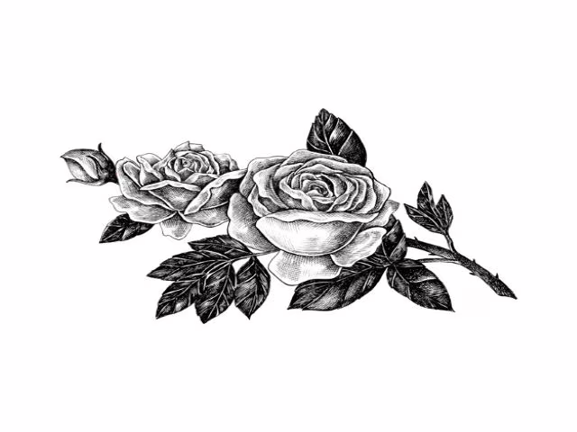 immagini rose da colorare