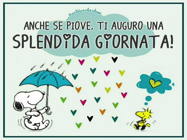 la pioggia prima che cada frasi