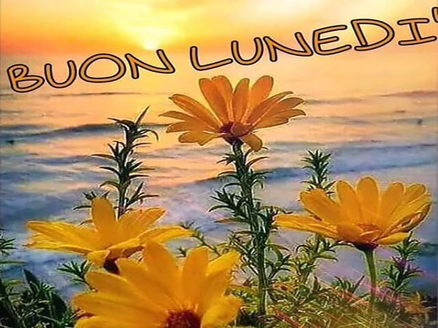messaggi di buon lunedì