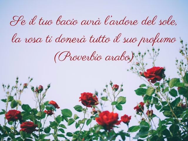 rose aforismi