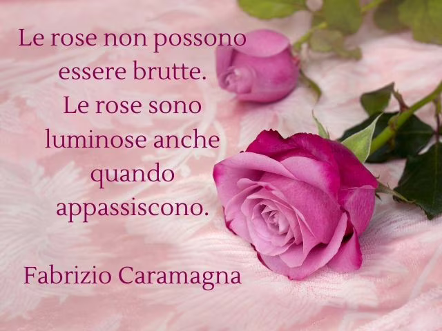 rose blu immagini