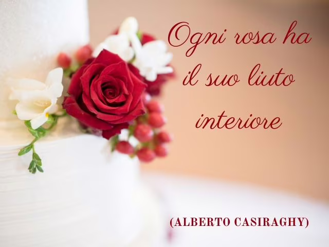rose rosse immagini