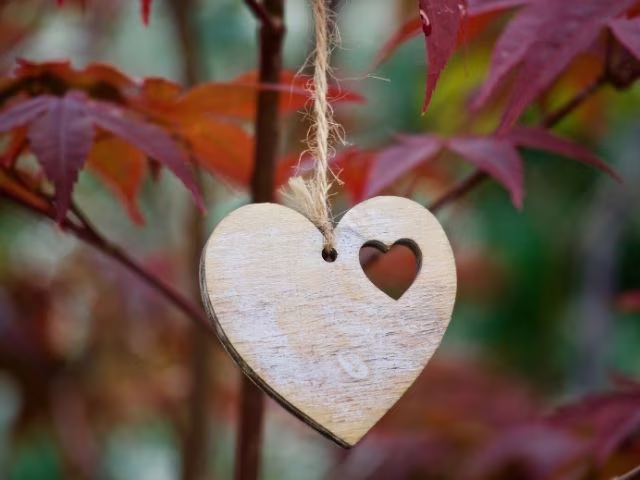 Frasi e aforismi celebri sull'amore