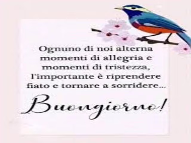 frasi allegria felicità